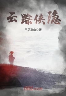 云踪侠隐封面图片