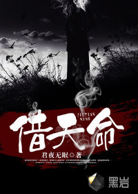 借天命封面图片