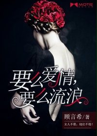 要么爱情，要么流浪封面图片