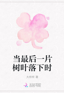 当最后一片树叶落下时封面图片