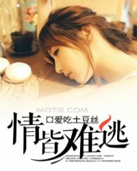 情皆难逃封面图片