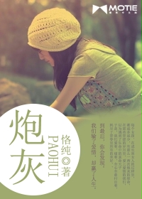炮灰封面图片