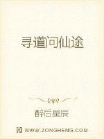 寻道问仙途封面图片