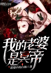 我的老婆是冥帝封面图片