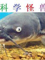 科学怪兽封面图片