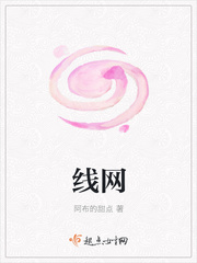 线网封面图片