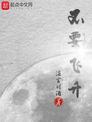 不要飞升封面图片