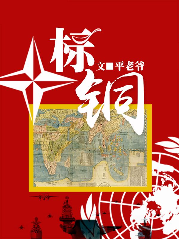标铜封面图片