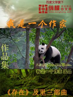 我是一个作家封面图片