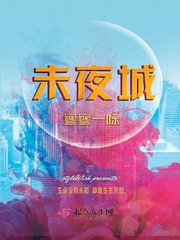 未夜城封面图片