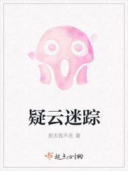 疑云迷踪封面图片