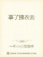 事了拂衣去封面图片