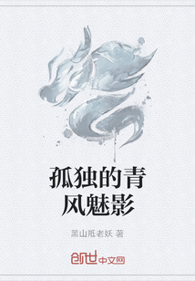 孤独的青风魅影封面图片