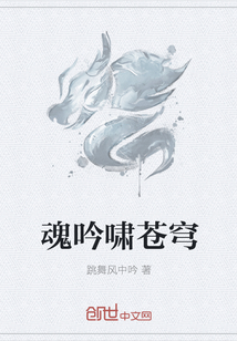 魂吟啸苍穹封面图片