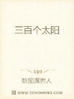 三百个太阳封面图片