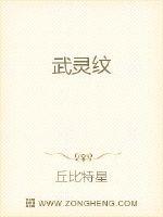 武灵纹封面图片