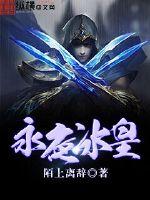 永夜冰皇封面图片