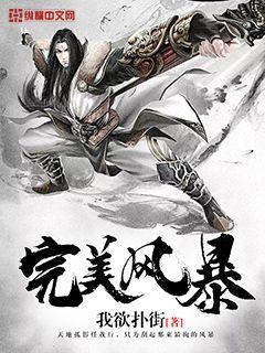 完美风暴封面图片