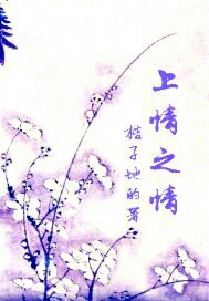 上情之情封面图片