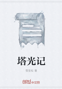 塔光记封面图片