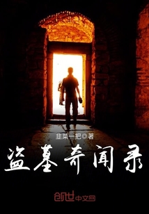 盗墓奇闻录封面图片