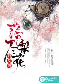 落尽梨花月又西封面图片