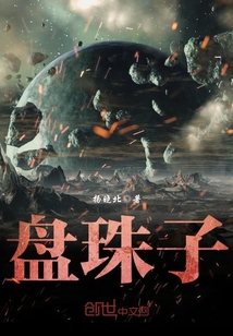盘珠子封面图片
