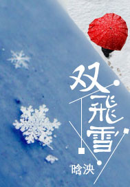 双飞雪封面图片
