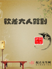 钦差大人驾到封面图片