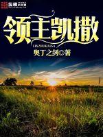 领主凯撒封面图片