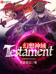 幻想神域Testament封面图片