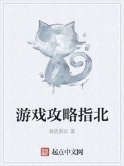 游戏攻略指北封面图片