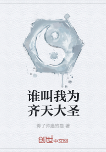谁叫我为齐天大圣封面图片