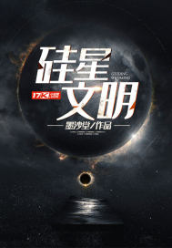 硅星文明封面图片