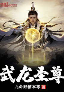 武龙圣尊封面图片