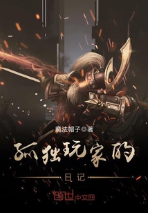 孤独玩家的日记封面图片