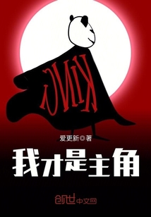 我才是主角封面图片