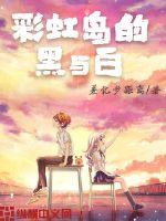 彩虹岛的黑与白封面图片