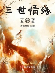 三世情缘心丹结封面图片