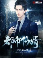 都市仙婿封面图片