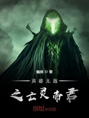 英雄无敌之亡灵帝君封面图片