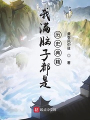 我满脑子都是历史典籍封面图片
