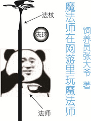 魔法师在网游里玩魔法师封面图片