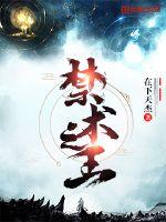 禁术之王封面图片