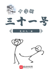 十字街三十一号封面图片