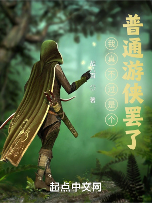 我真不过是个普通游侠罢了封面图片