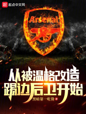 从被温格改造踢边后卫开始封面图片