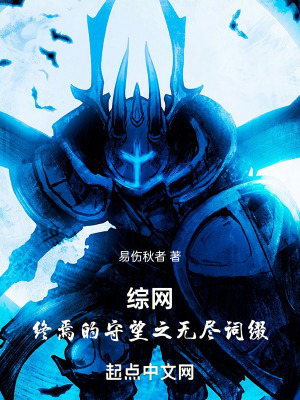综网：终焉的守望之无尽词缀封面图片