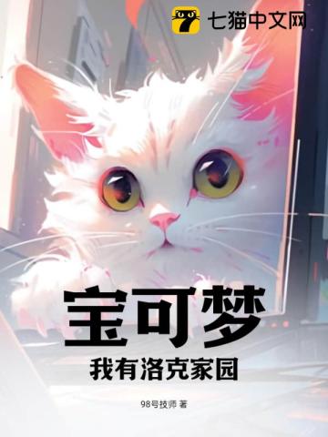 宝可梦：我有洛克家园封面图片