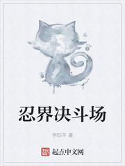 忍界决斗场封面图片